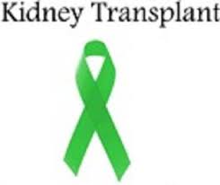 70882KIDNEY TRANSPLANT LOGO