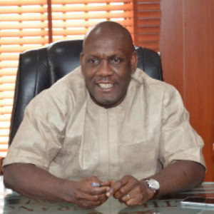 Ag. Executive Secretary CEO NHIS Dr Femi Akingbade 300x300