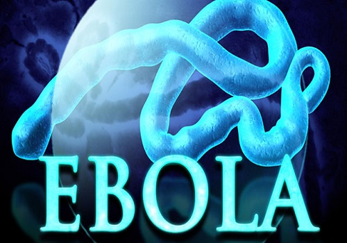 Ebola virus1 1