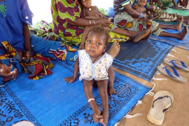 Lack of money threatens World Food Programme work in Niger 