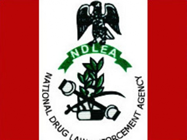 NDLEA Logo