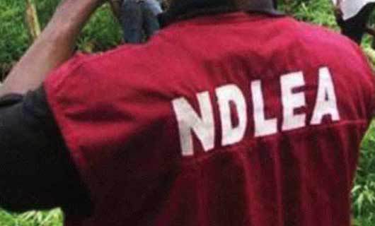 NDLEA