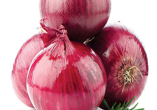 Onion