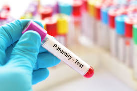 paternity test