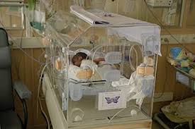 preterm babies