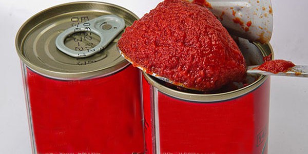 tomato puree in can ok