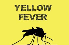 yellow fever