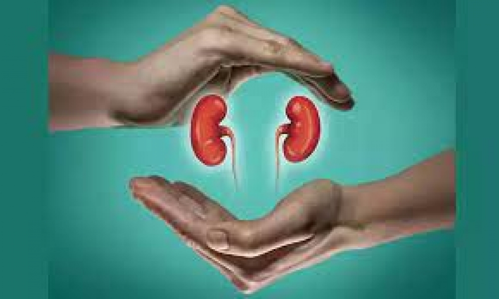 Early detection of kidney disease helps prevent complications —Experts