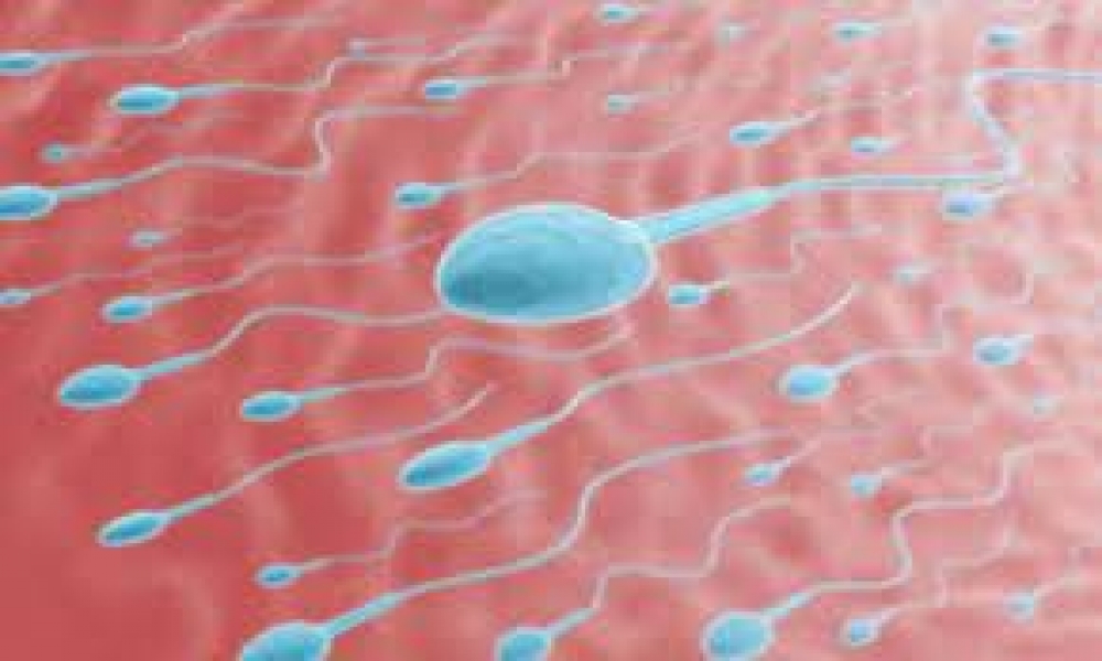 With low sperm count, pregnancy is still possible – Urologist