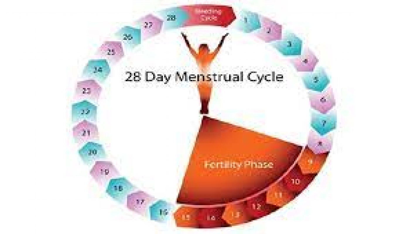 Women can get pregnant during menstruation — Gynaecologists