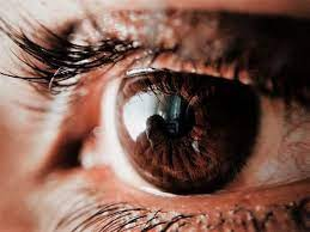 ‘Glaucoma: Many Nigerians losing sight due to ignorance’