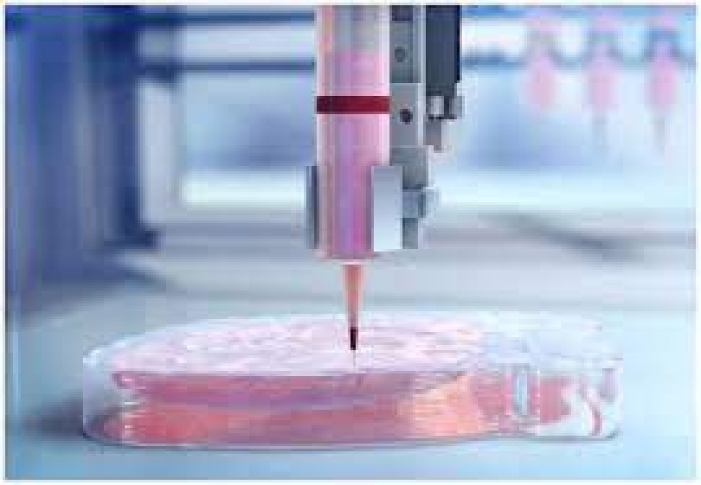 Researchers print 3D cardiac tissue capable of sustaining pulses