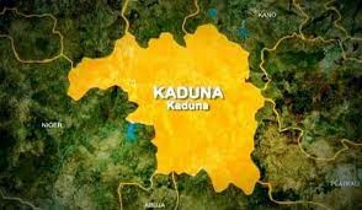 Lassa fever breaks out in Kaduna, two killed, residents fight over dumped fish