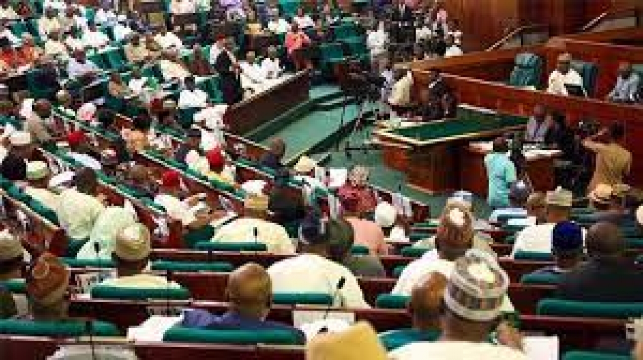 Medical tourism: Reps propose seven-year imprisonment, N500m fine for officials