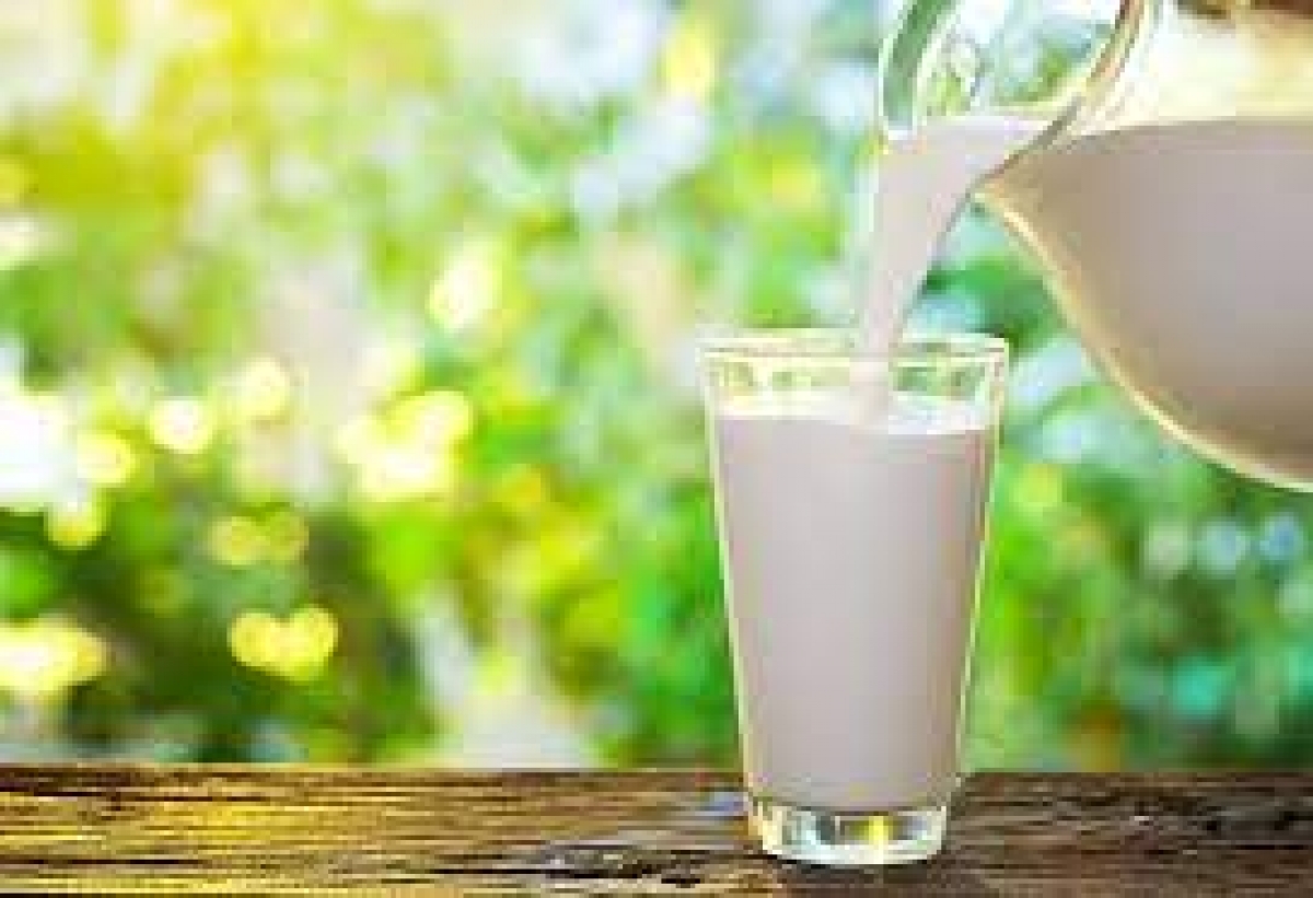 Benefits of regular milk consumption