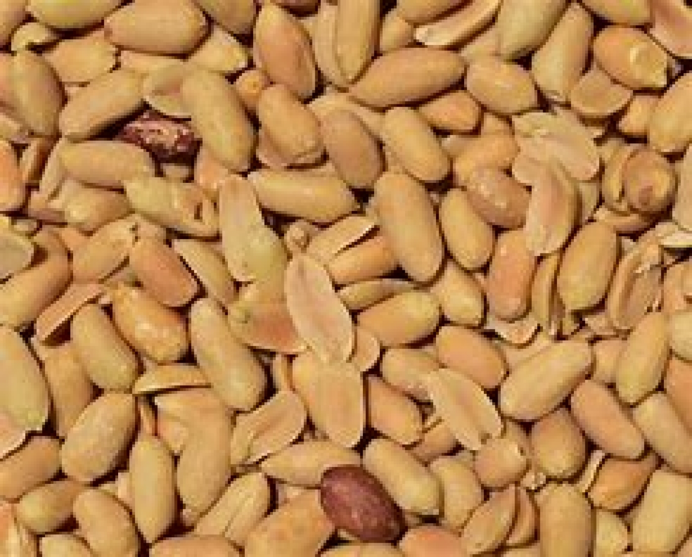 Giving under-five children whole nuts dangerous, can cause death, physicians warn