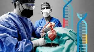 Nigerians dying from organ harvesting scams —Expert